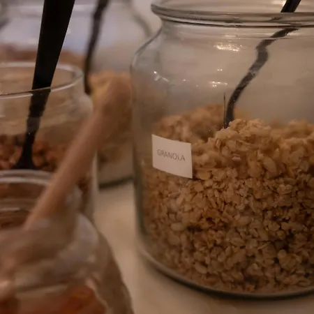 Marques Garden House By Olivia Pensión Oporto